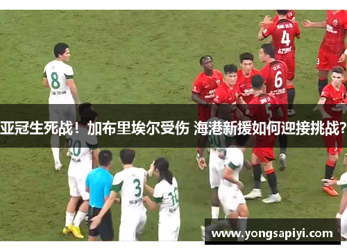 亚冠生死战！加布里埃尔受伤 海港新援如何迎接挑战？