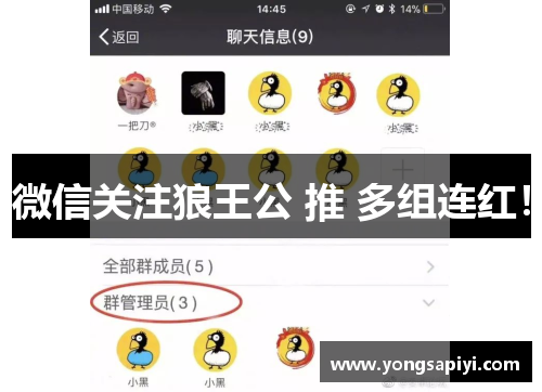 微信关注狼王公 推 多组连红！